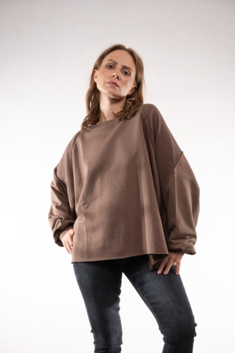 Bawełniana bluza oversize z raglanowymi przeszyciami Colette Bluzka Damska Brązowa